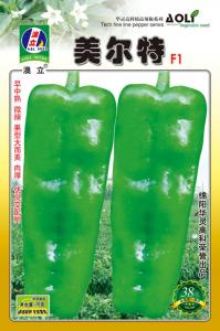 美尔特